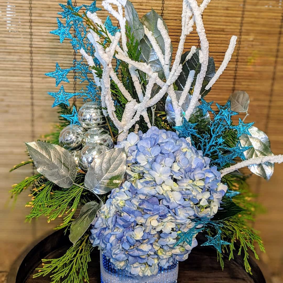 Hanukkah Stars - Celebrate Hanukkah with Flowers, Stars, and Snow Branches