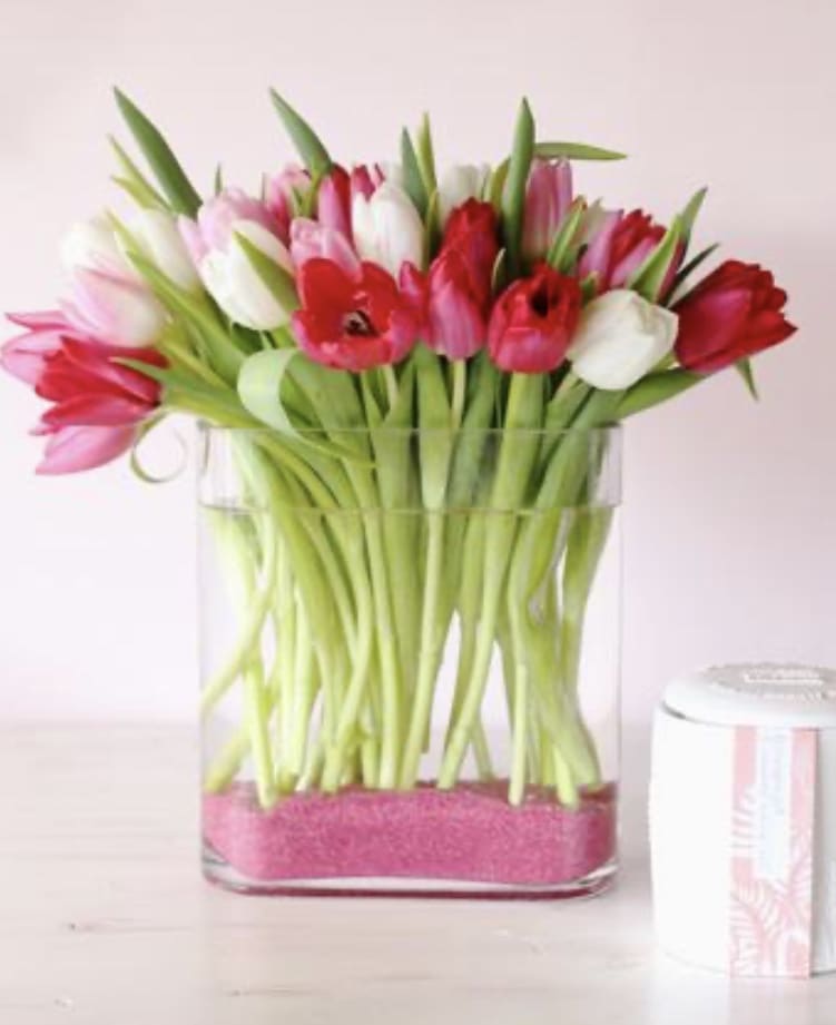 Pink, red, and white tulips in a clear glass vase