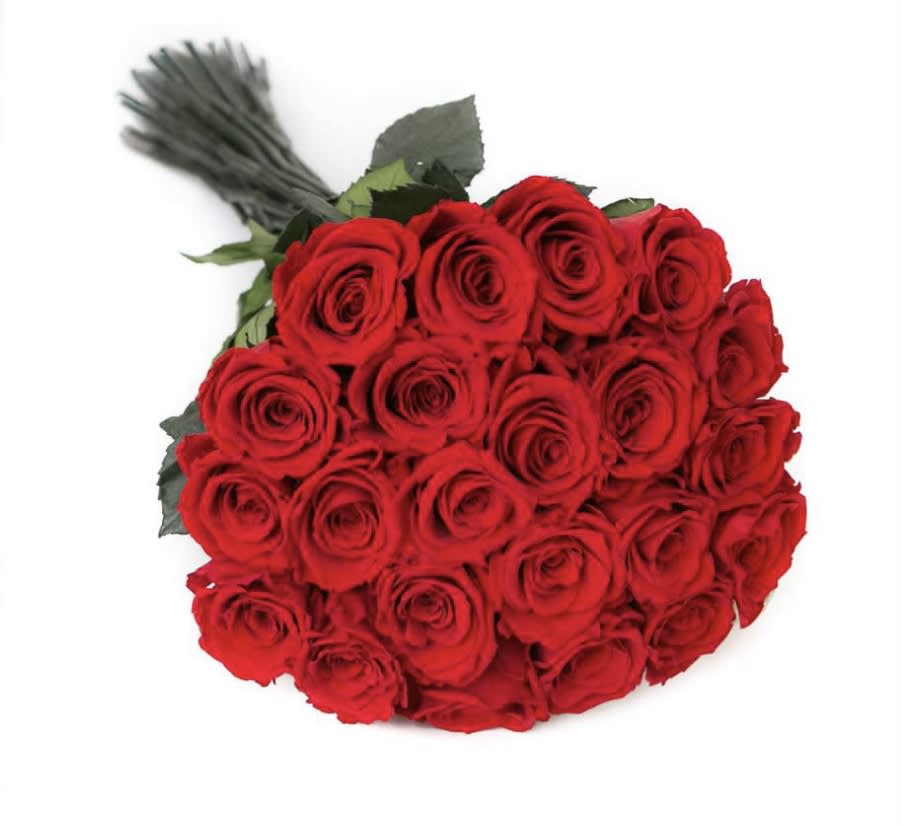 Bouquet of red roses with a wrapped stem bundle