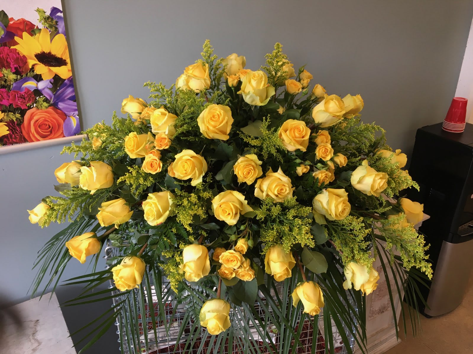 Golden Glory all yellow - Yellow roses