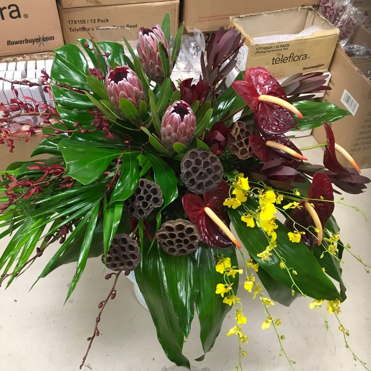 Tropic Home Going - Tropical colors and tropical flowers