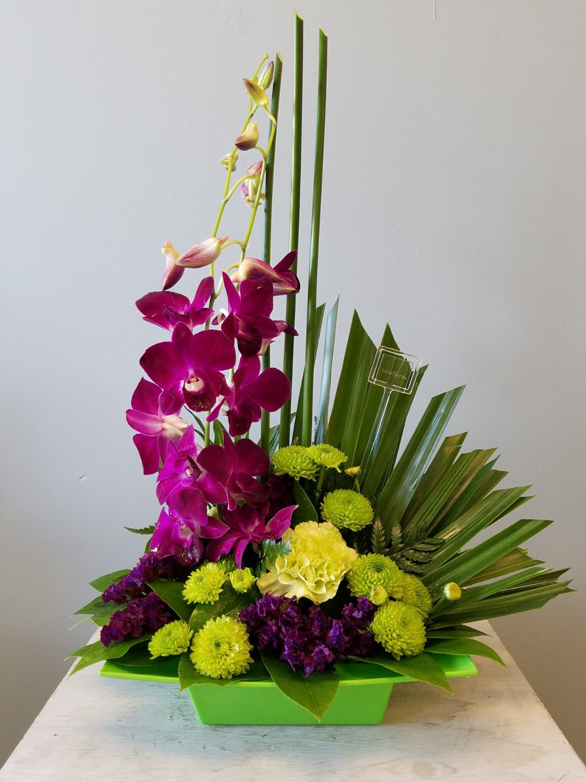 Zen Garden - Tropicals in a zen green dish