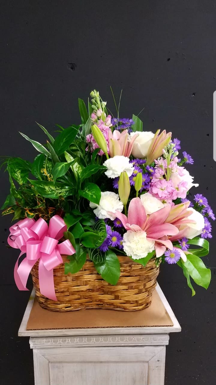 Mixi - Peace lily plant with fresh cut flowers 