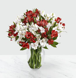 Valentine Peruvian Lilies - Love the Peruvian Lilies! Abundant blooms of alstroemeria, known as Peruvian Lilies, spread the spirit of Valentine's Day. This burst of color will elegantly accent any table and make a perfect gift for your loved one.