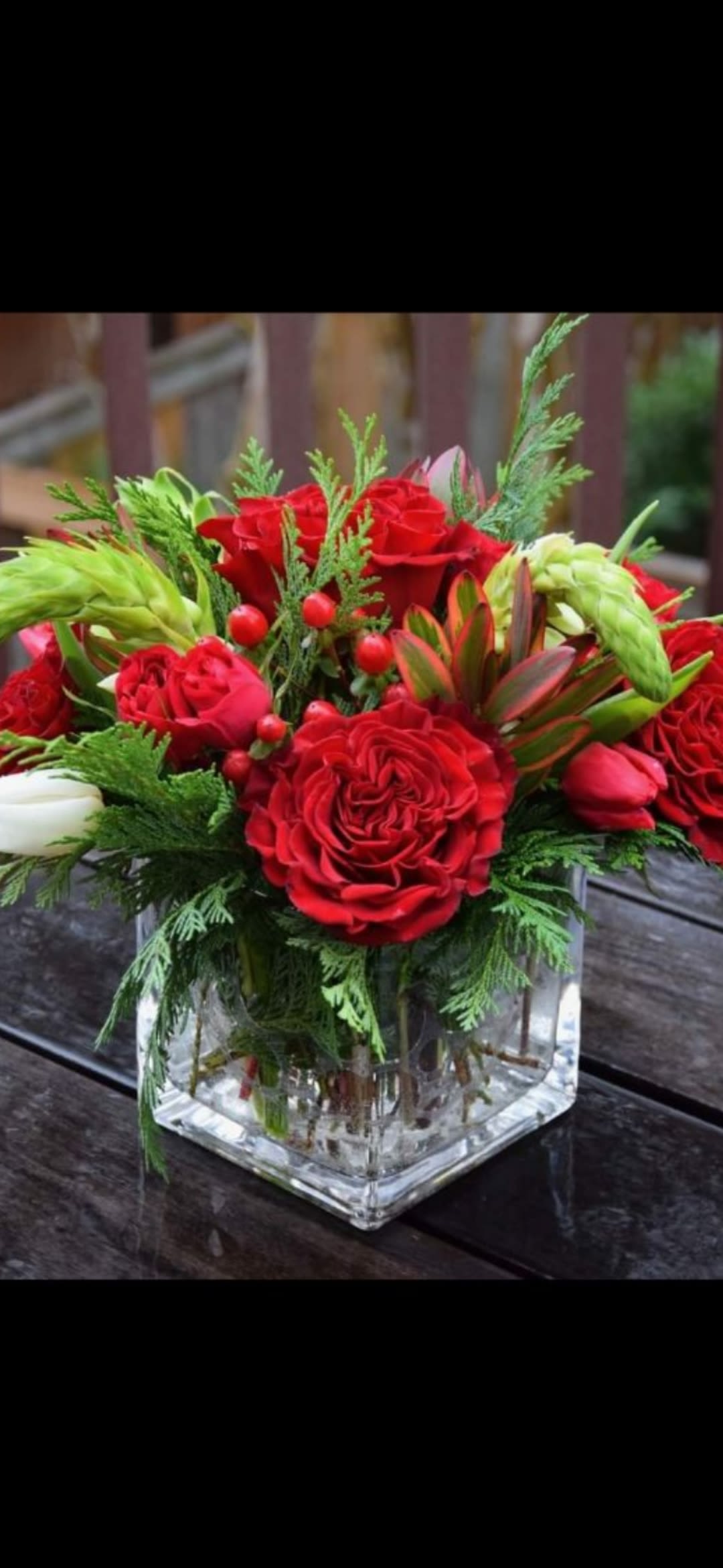 Cube of red roses - Red roses arranged in a clear glass cube with holiday greens and other flowers in season!