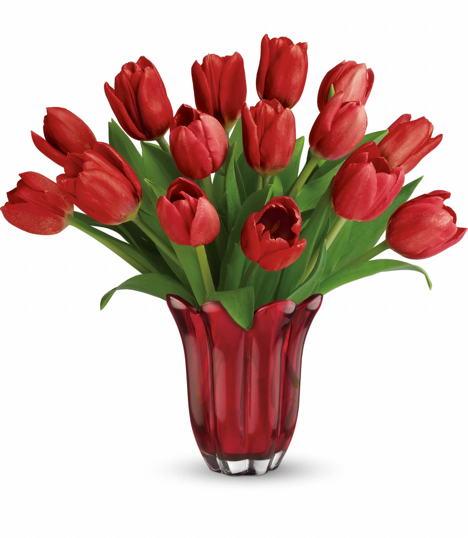 Teleflora's Kissed By Tulips Bouquet DX - Tickle her with tulips! This elegant bouquet of 20 red tulips is arranged in a red glass vase.  