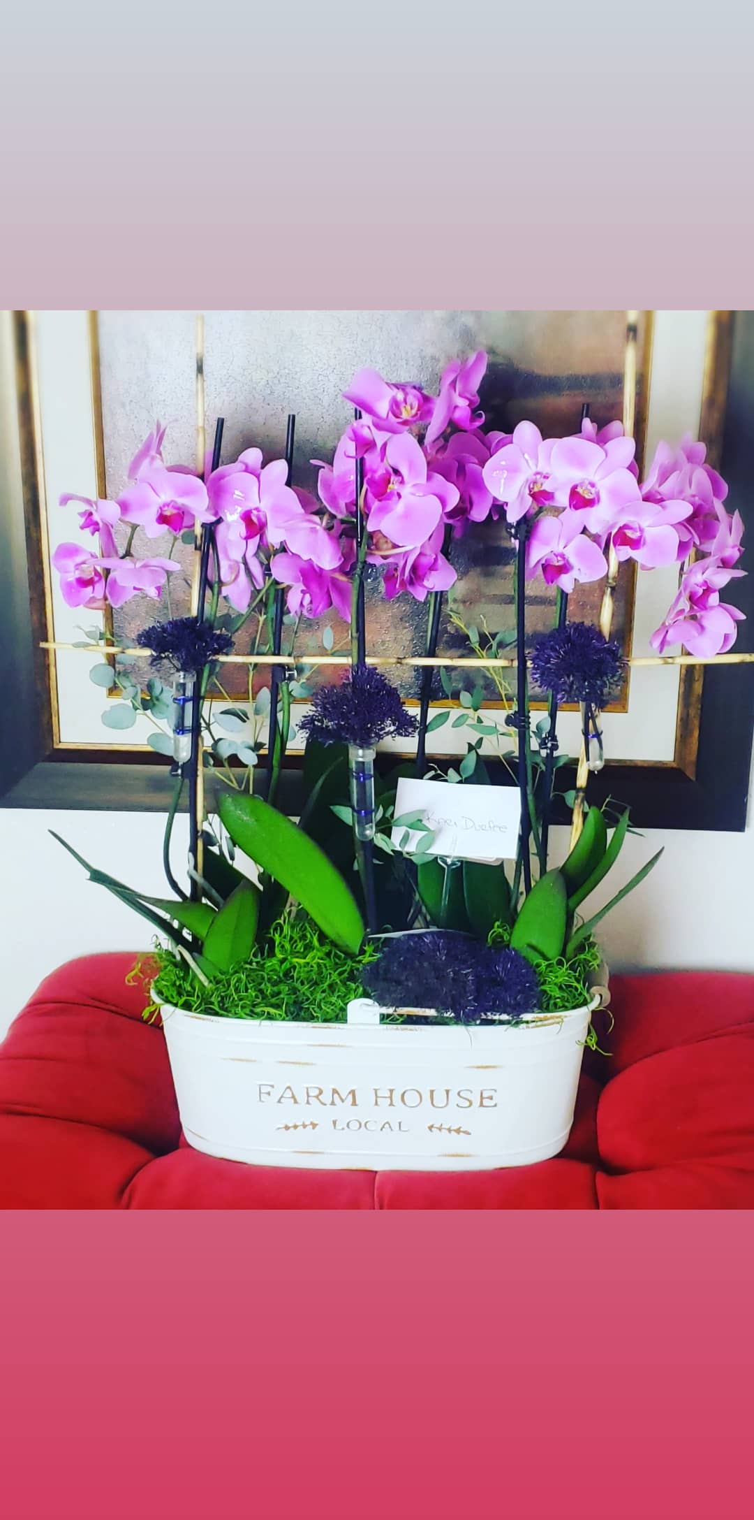 Trinity - This bouquet i great for all locations, Get well, Just Because or Sympathy arrangement. this peace will come in lavender or white.  container will vary on demand