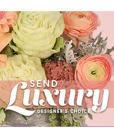 Pastel bouquet with ranunculus and roses on a pink background