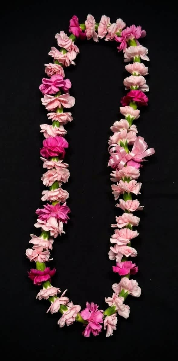 Pink flower lei on a black background
