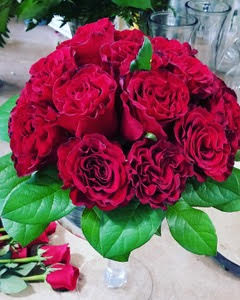 Bouquet of deep red roses with green leaves