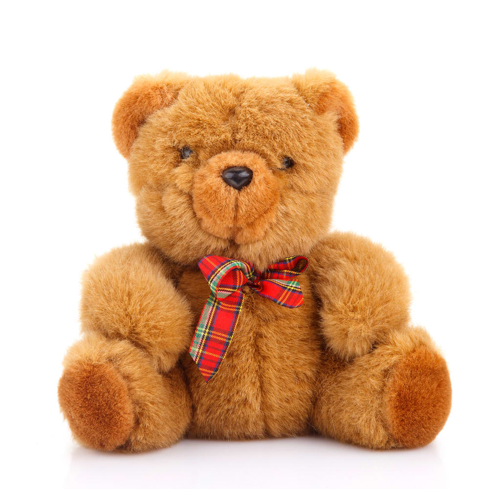 Teddy Bear - Plush Teddy Bear