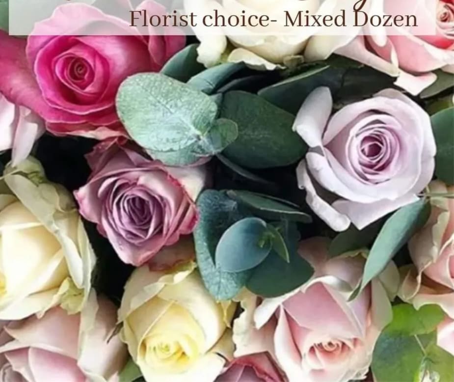 Tight cluster of mixed pink, lavender, and cream roses labeled florist choice mixed dozen