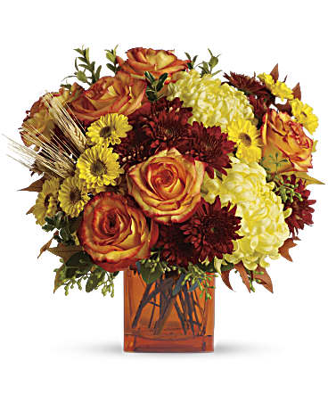 Autumn Expression - Bring a bright contemporary touch to this glorious season with a chic fall bouquet in a stylish orange cube vase. Subtly sensational, it's a great gift for faraway friends. The stylish contemporary arrangement includes yellow cushion spray chrysanthemums, bi-color orange roses, rust cushion spray chrysanthemums, yellow disbud chrysanthemum and yellow Viking spray chrysanthemums accented with assorted greenery. Delivered in an orange cube vase. Orientation: All-Around