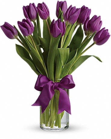 Passionate Purple Tulips - For anyone who's passionate about purple this majestic arrangement of the prettiest purple tulips is wellâ¦perfect
