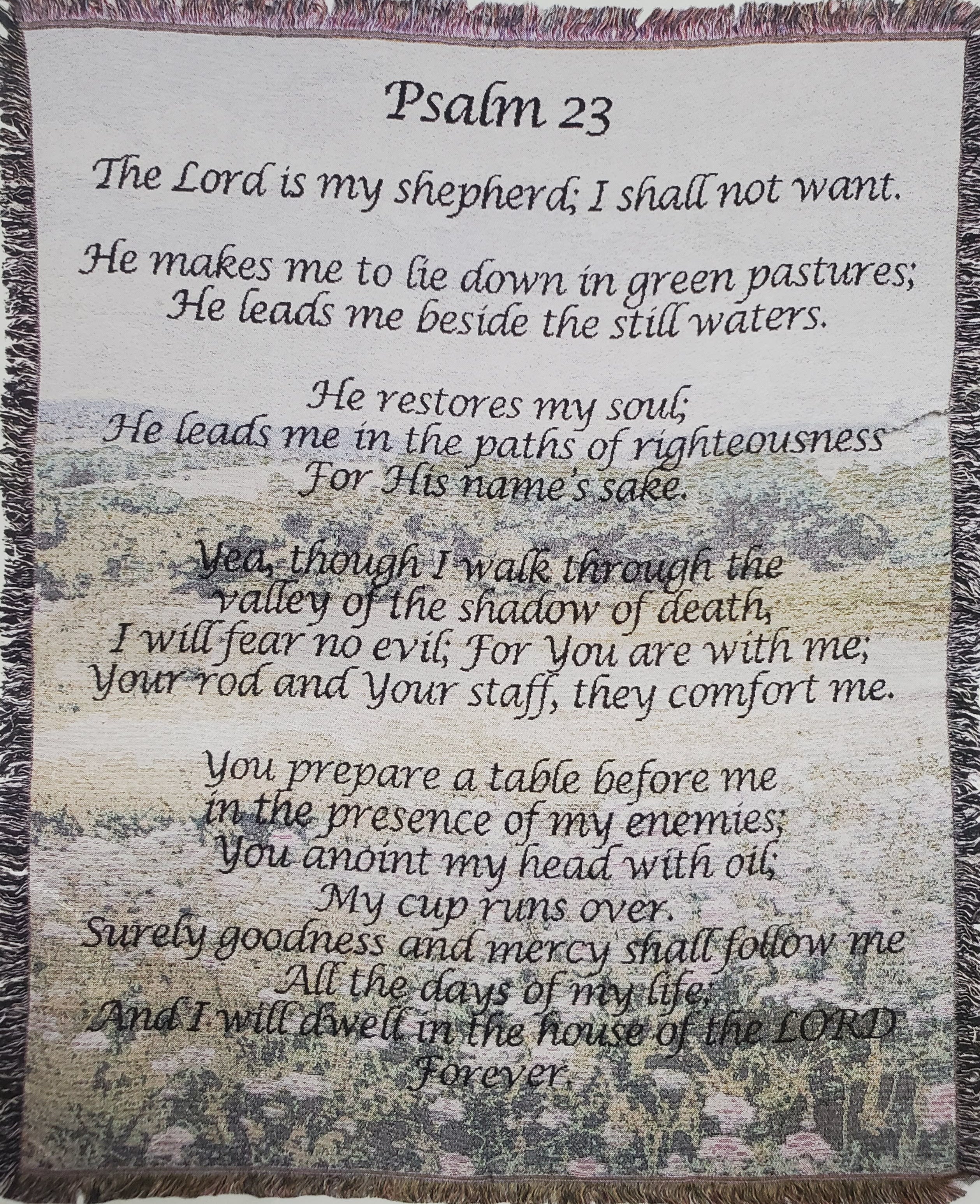 A decorative wall hanging with Psalm 23 text over a pastoral scene
