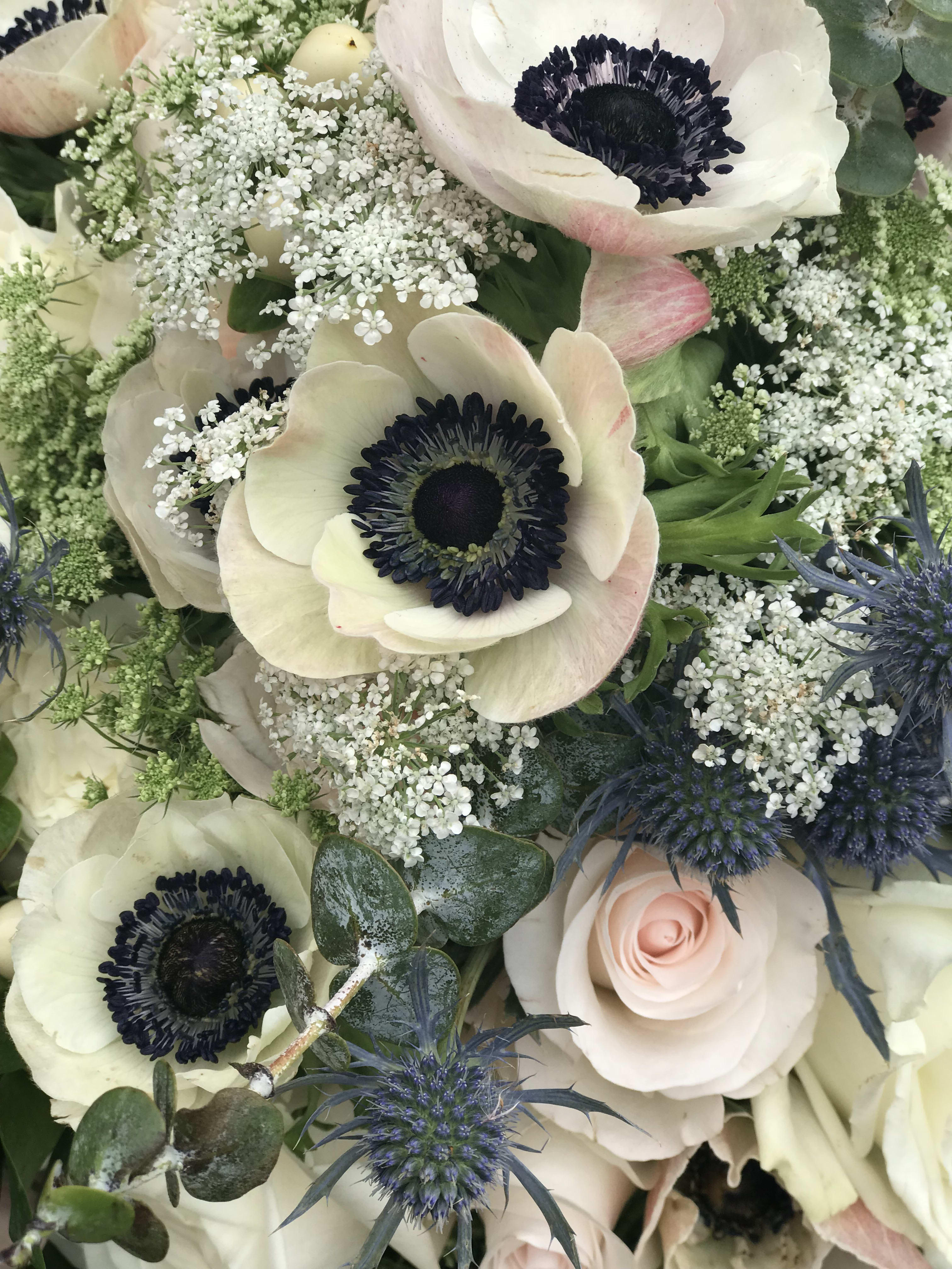 Bouquet of white anemones, pale roses, and blue thistles