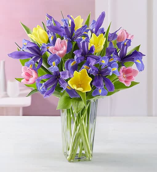 Bouquet of purple, yellow, and pink tulips in a clear glass vase
