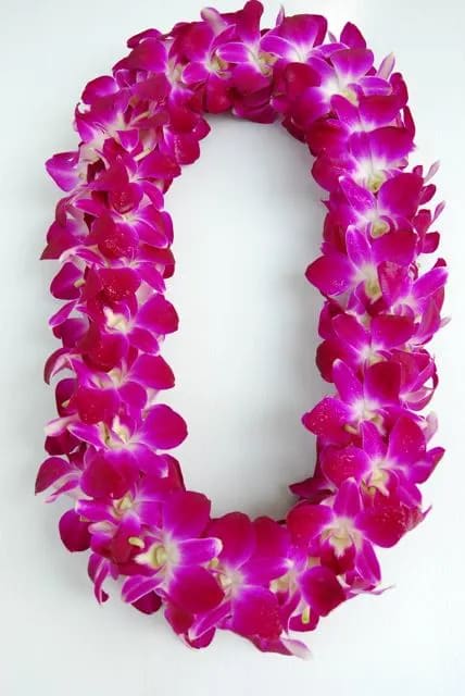 Graduation lei 1 - The orchid lei made with purple dendrobium orchids, you can choice with single lei or double lei.