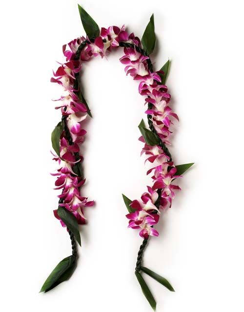Pink orchid lei with green leaves on a white background
