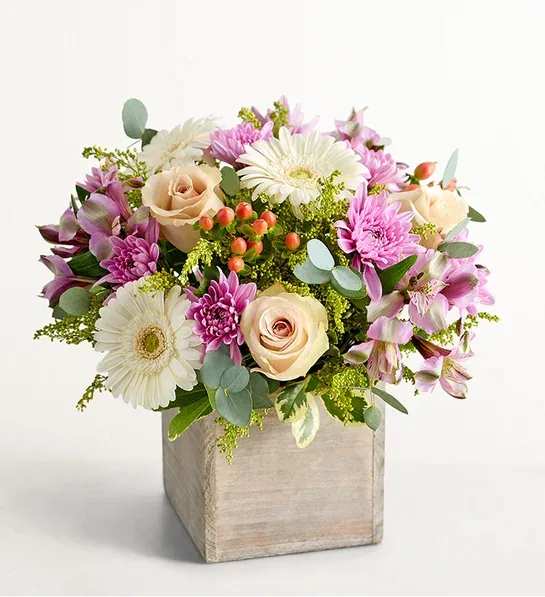 Pastel Garden -  All the beauty of a cottage garden in one rustic yet refined planter. Lush roses, Peruvian lilies, mini Gerbera daisies, and other blooms in serene shades of cream, lavender, and peach make this a gift certain to delight anyone who has ever dreamed of frolicking in a sun-dappled meadow. For mom on mother's day
