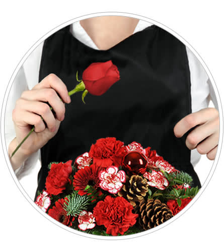 Person holding a red rose above a red carnation and pine arrangement