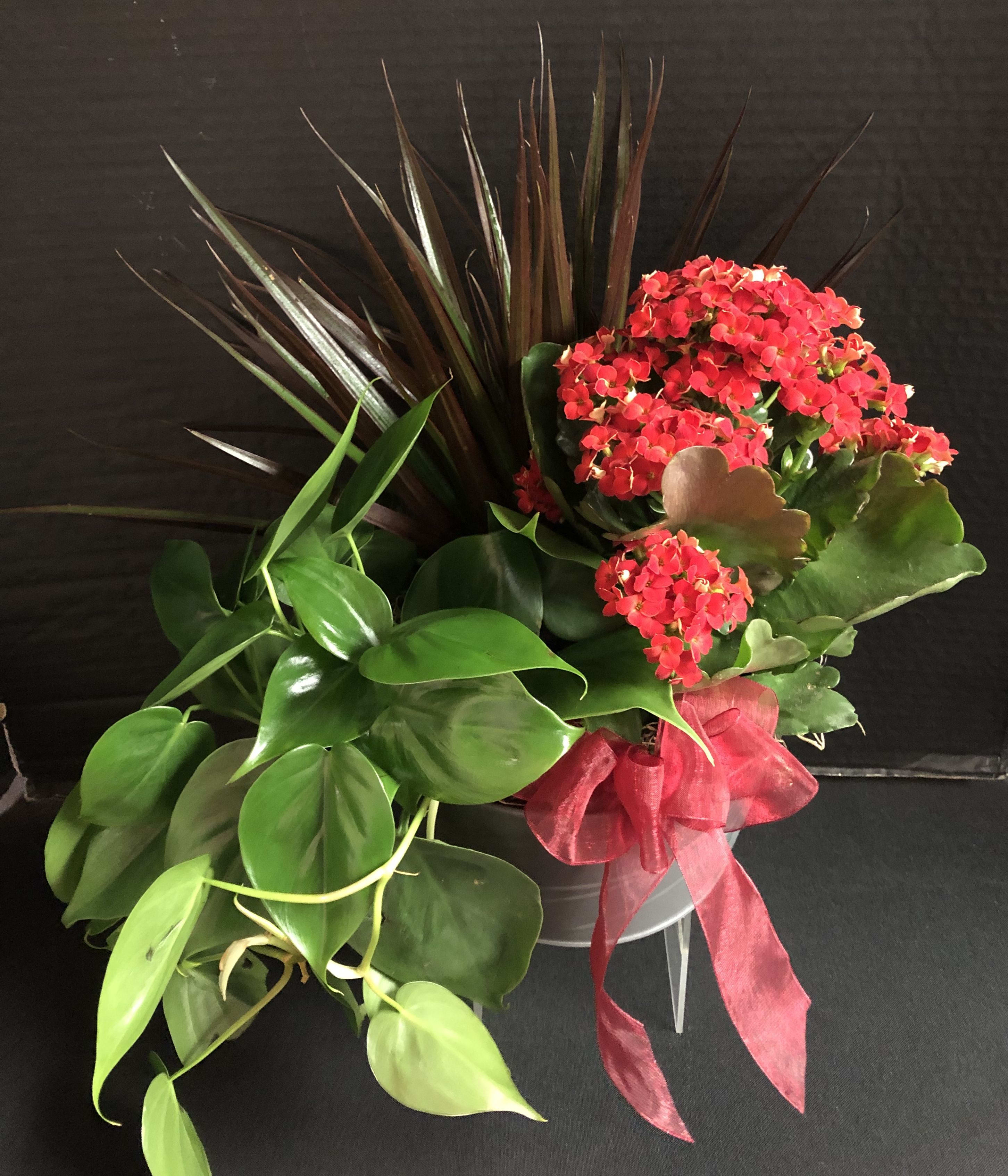 Florist Designed Blooming and Green Plants in a Basket - Can't decide on which plant to send? Let the florist design something special using their most beautiful blooming and green plants in a basket. The combination will make a lovely presentation appropriate for any occasion! 