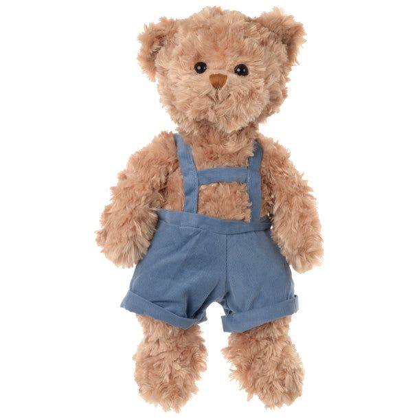 Teddy bear wearing blue overalls on a white background