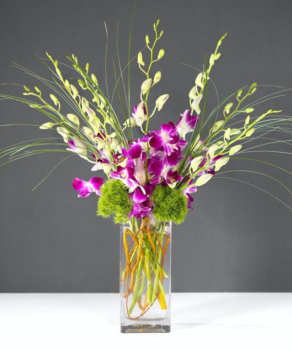 Purple orchids in a tall glass vase with green pom-pom accents