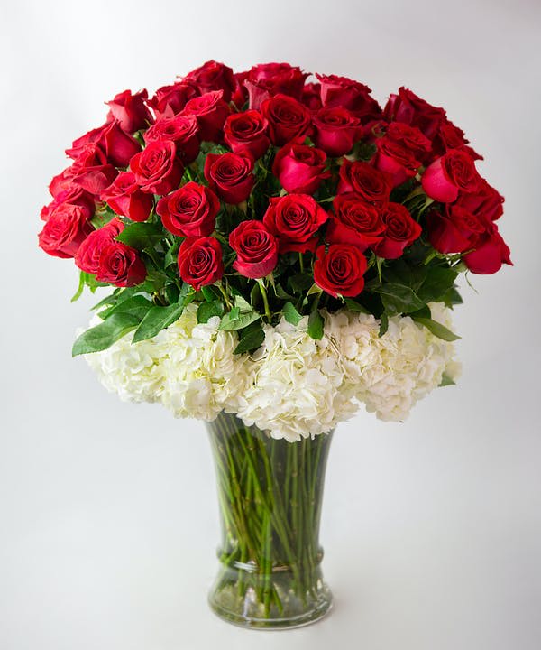 Red roses and white hydrangeas arranged in a clear glass vase