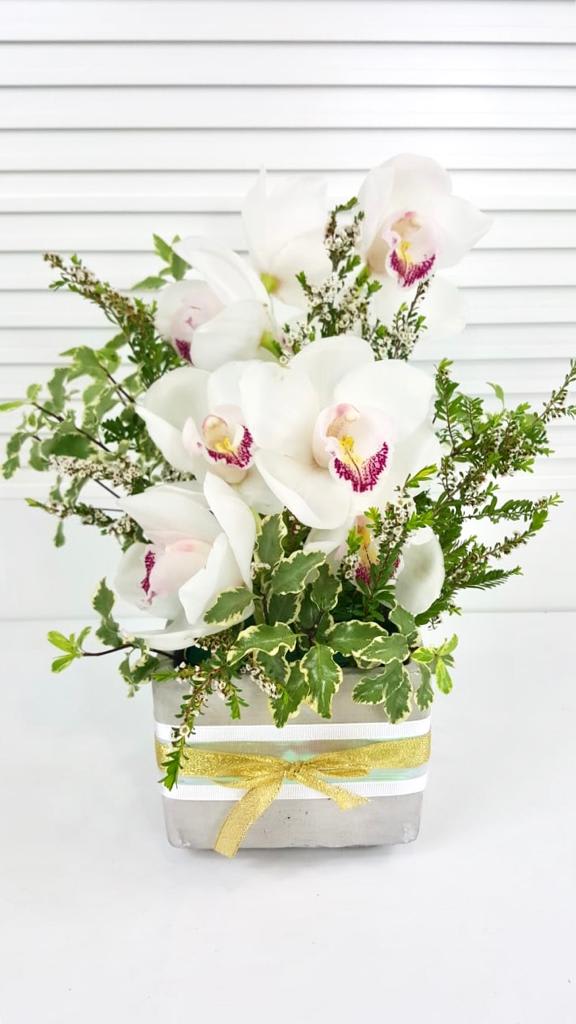 Pure Zen - Serene Cymbidium White Orchids with a touch of greenery in a concrete vase.
