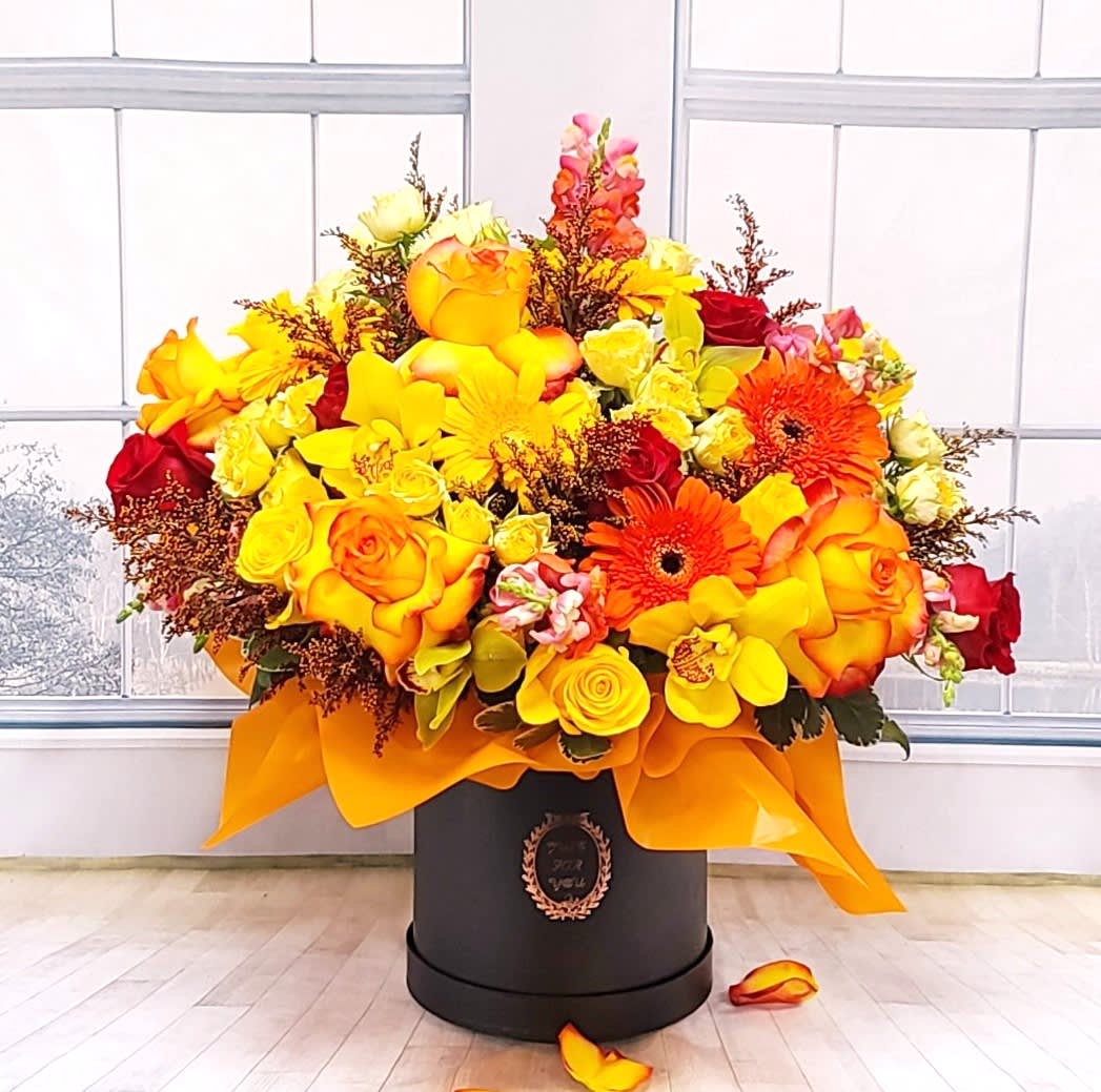 Eddyy - Vibrant yellow and orange colors 
