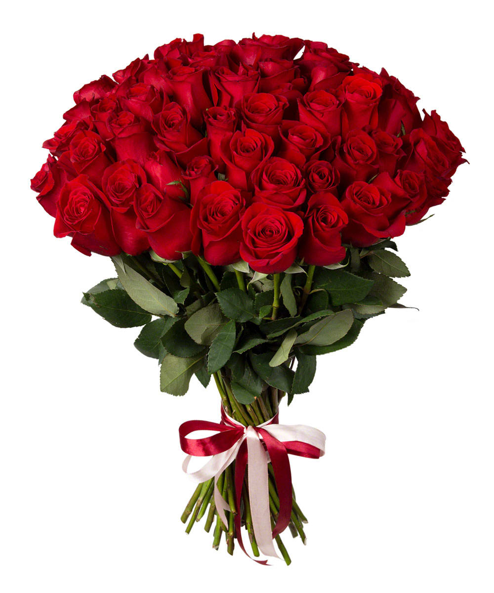 Large bouquet of red roses tied with a red and white ribbon