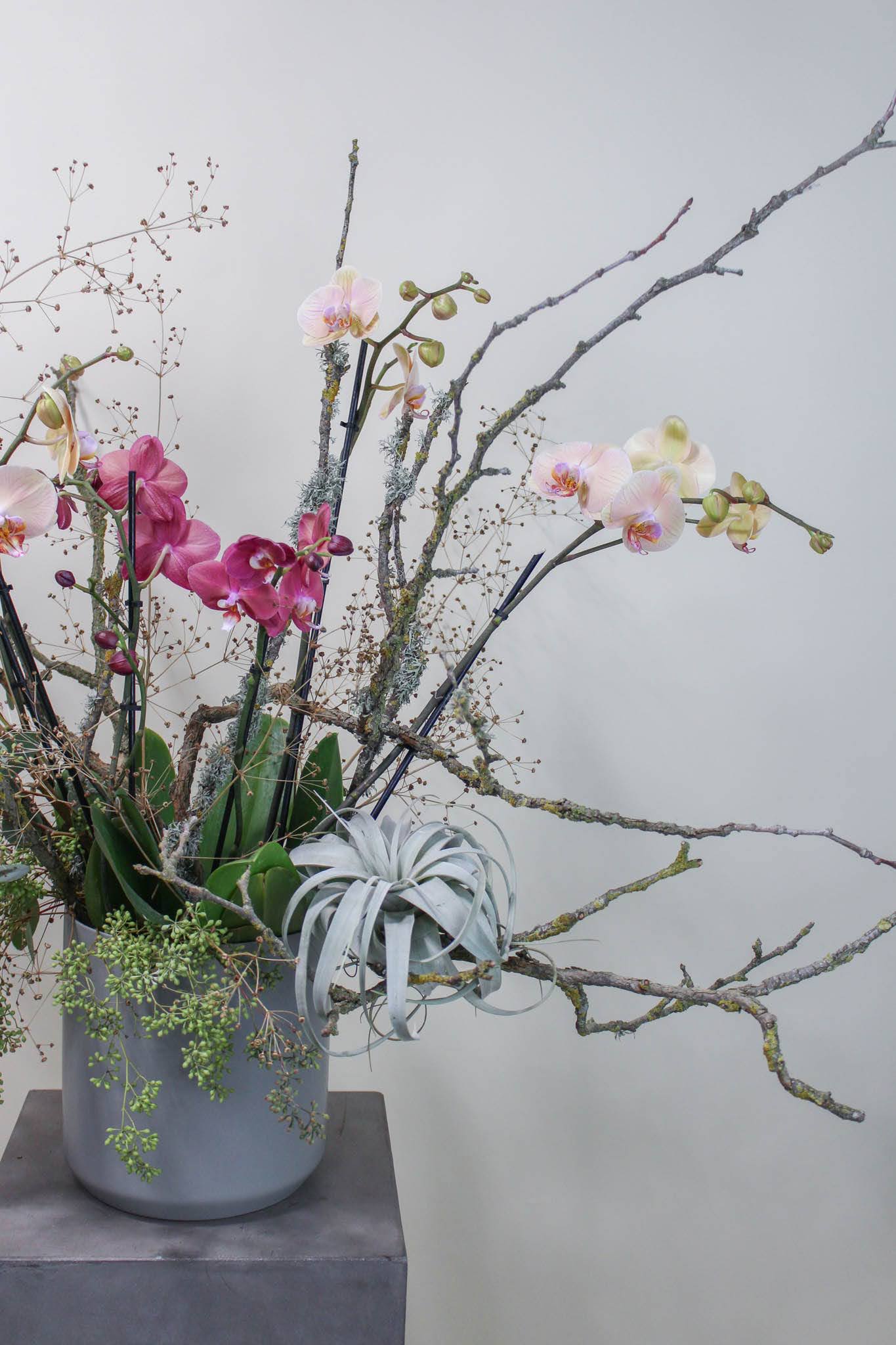 Tall orchid arrangement in a gray vase with branches and air plant accents