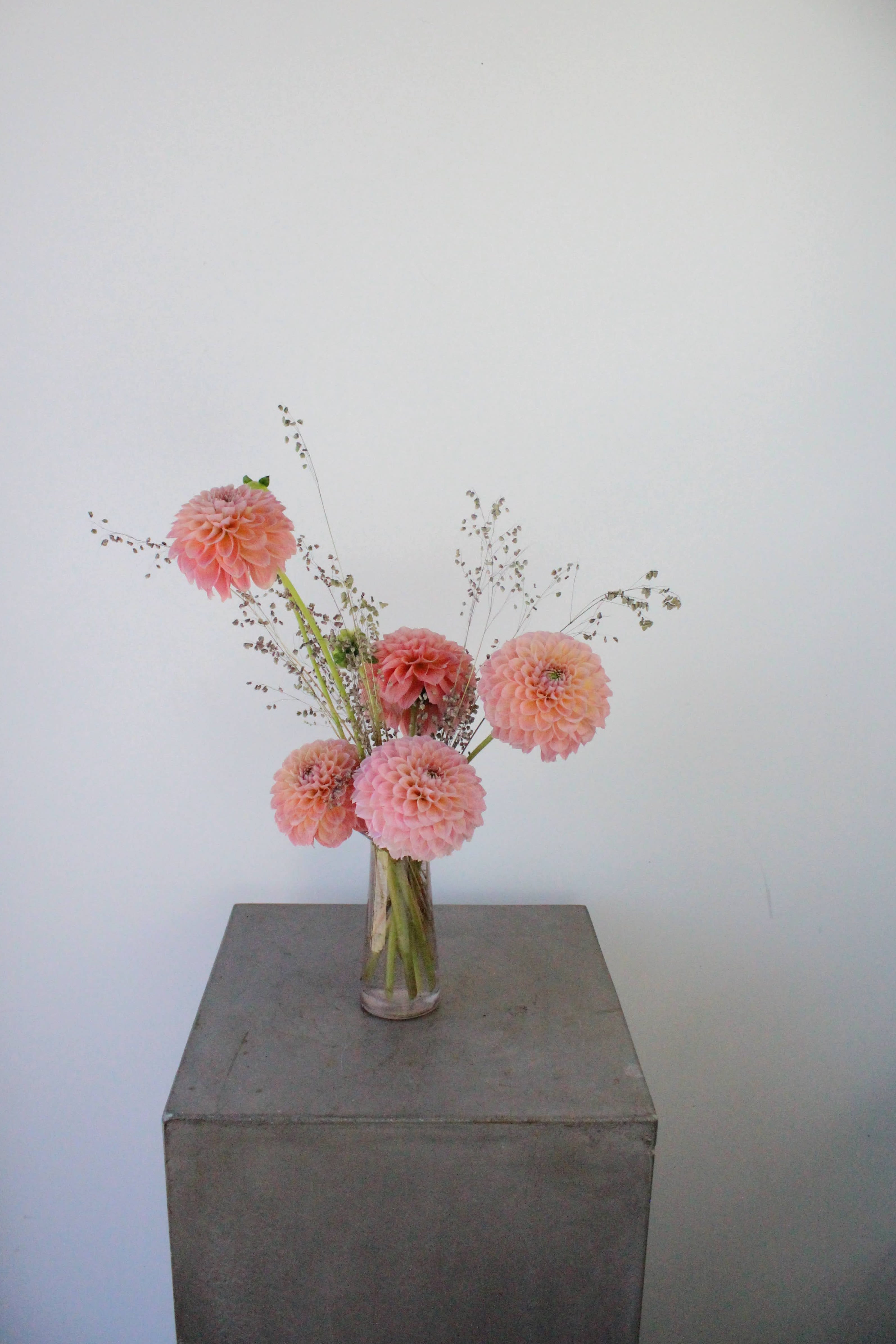 Dahlia Bud Vase - A highlight of gorgeous dahlias from local bay area farms-- a summer favorite!