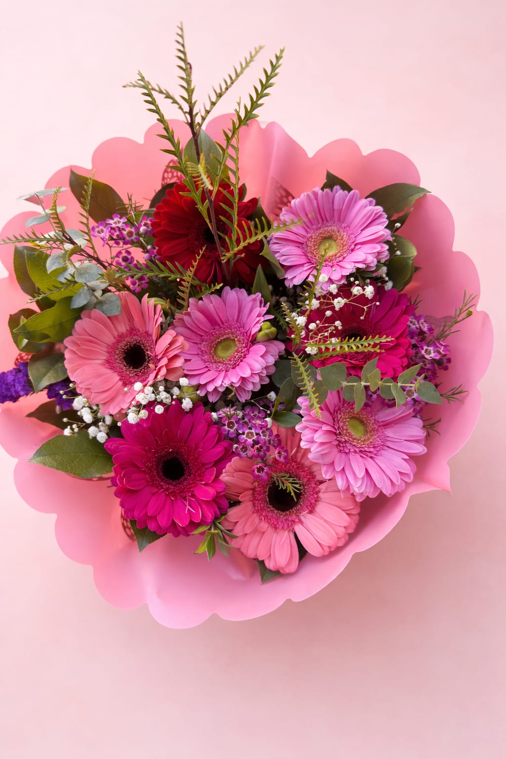 Bouquet of pink and magenta gerbera daisies with pink wrap