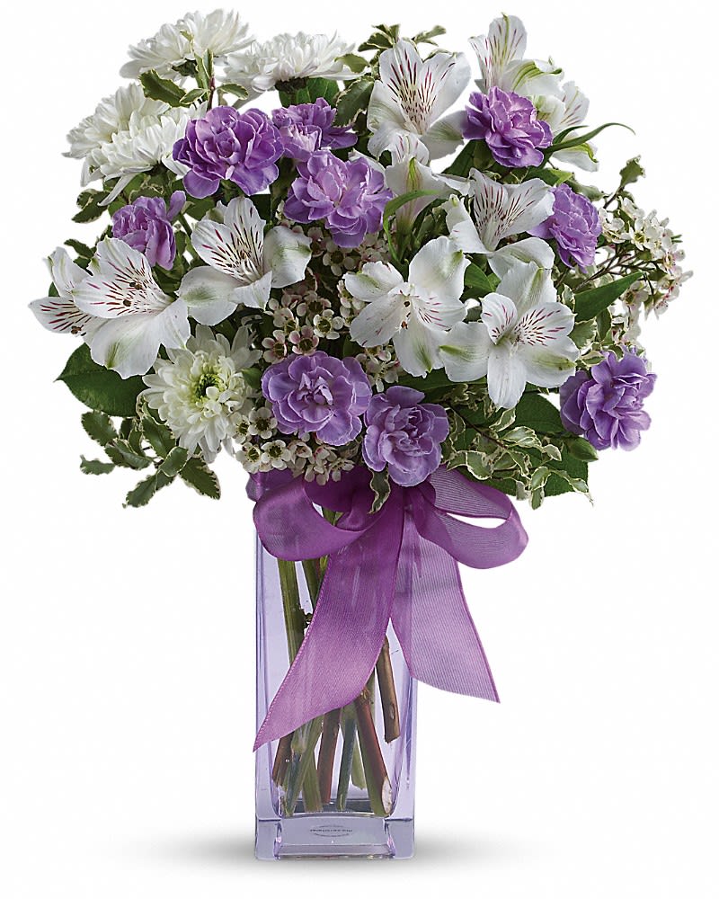 Teleflora's Lavender Laughter Bouquet - Fill her heart with laughter! The ultimate lavender-lover's bouquet, this gleeful gift of white and lavender blooms is delivered in a pretty pale lavender vase she'll cherish forever. Lavender organza ribbon adds that gifting touch. Includes white alstroemeria, miniature lavender carnations, white chrysanthemums and waxflower, accented with fresh pittosporum and lemon leaf. Delivered in a Bunch vase. (z)
