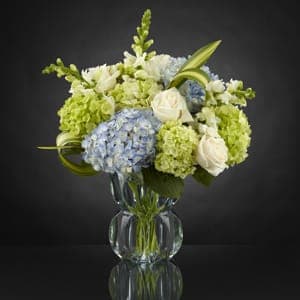 The FTD® Superior Sights Luxury Bouquet - Clusters of blue and green hydrangea give this floral arrangement a fresh focus, drawing the eye with pops of white roses and snapdragons perfectly placed with an artist&rsquo;s eye to create an unforgettable moment upon delivery. Notice how the flax leaves are placed within the arrangement to give it all a sense of movement and grace, taking the design aesthetic to a new level of sophistication. The subtle light blue color of the vase helps to bring forth the blues and greens within the bouquet, making this both a warm and airy design that will help you send a gift that truly speaks from your heart. GOOD bouquet includes 13 stems with vase. Approx. 19"H x 14"W. BETTER bouquet includes 22 stems. Approx. 21"H x 16"W.