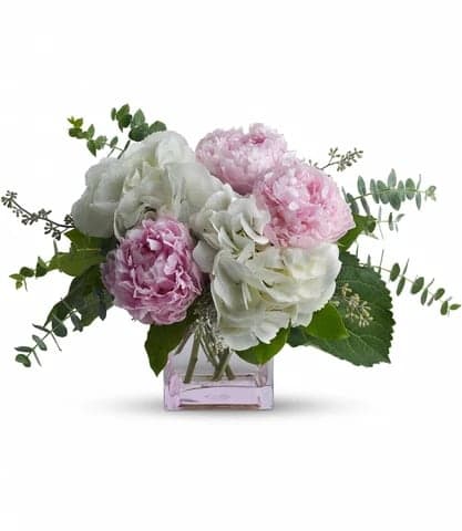 Pink and white peonies in a square glass vase