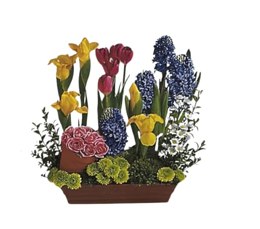 Arrangement of yellow irises, pink tulips, blue hyacinths, and pink roses in a rectangular planter