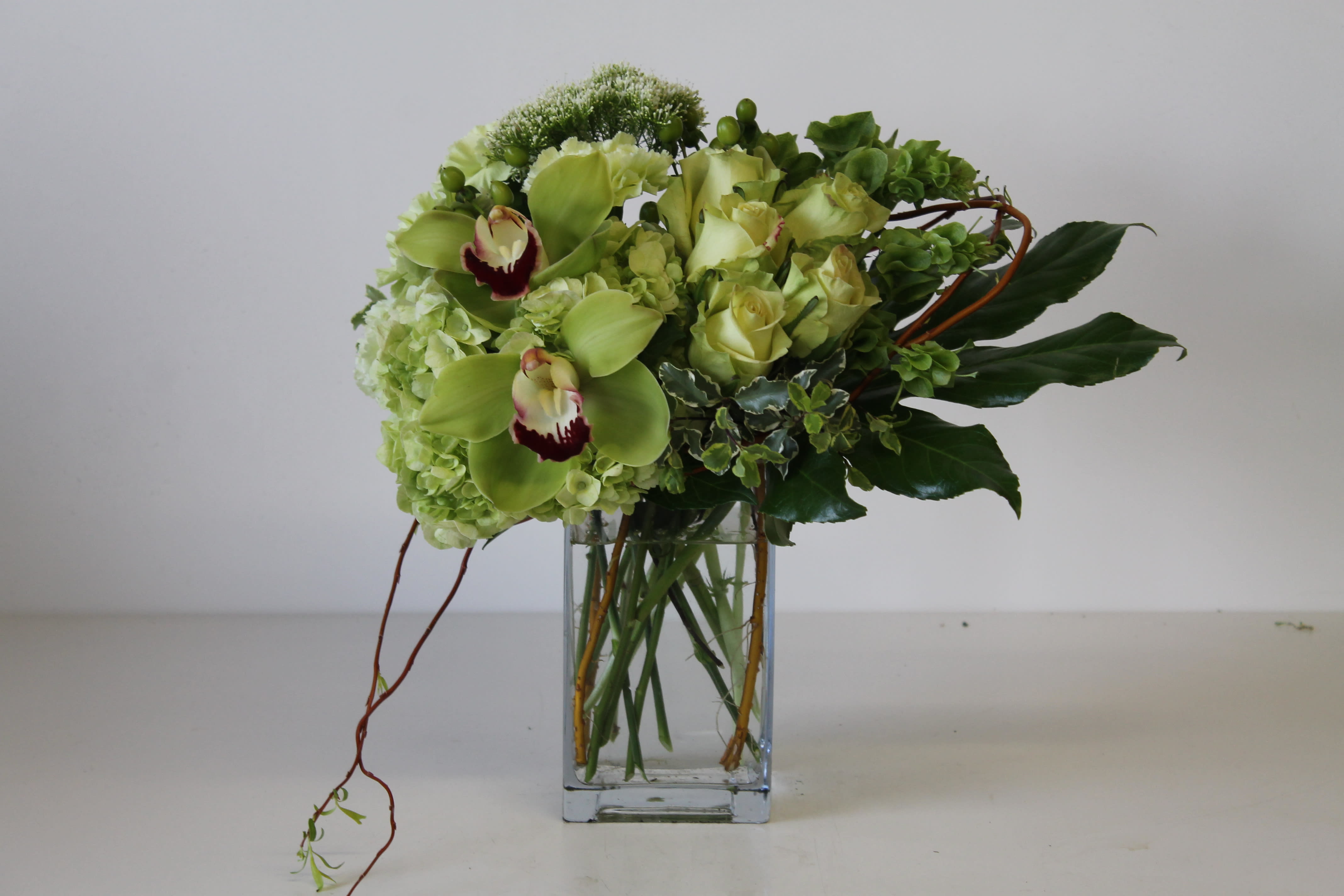 Green Celebration - Orchid, Haydrangea, Rose, Trachiliun, Hypericum, Bells of Irland