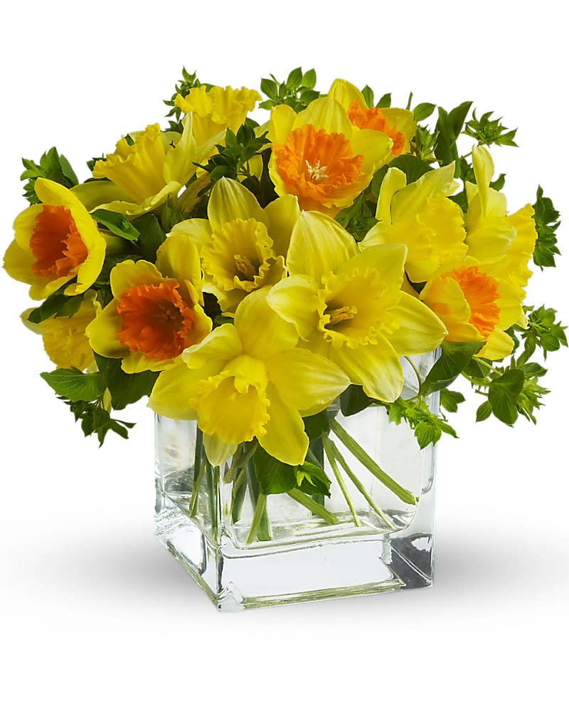 Yellow and orange daffodils arranged in a square clear glass vase.