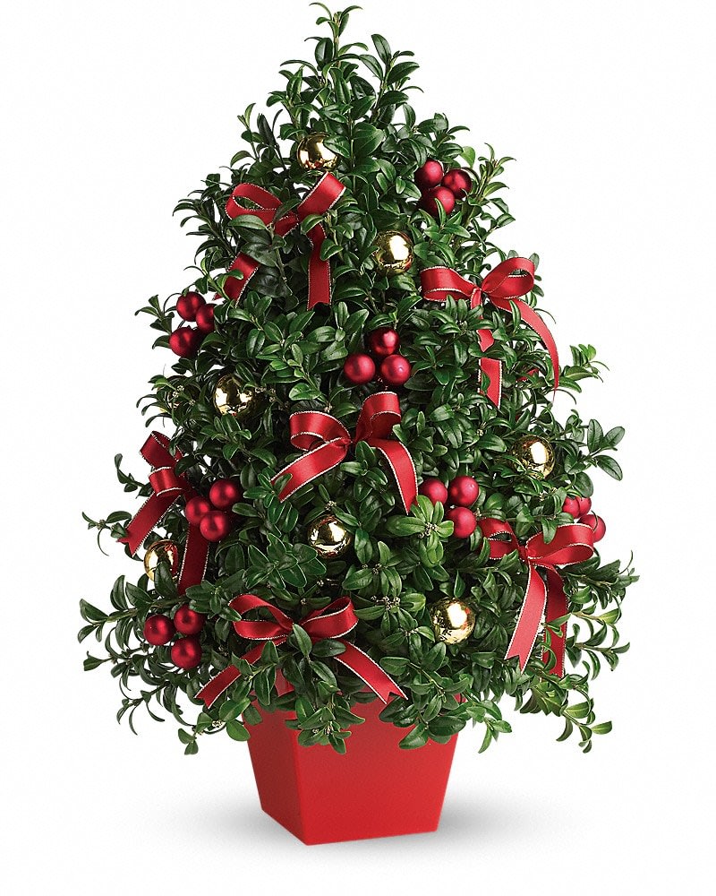 Small potted evergreen-style tree with red bows, red berries, and gold ornaments in a red container