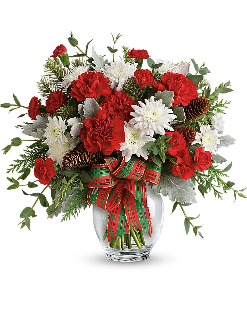 Red and white carnation and mum arrangement with pinecones in a clear vase with a red and green bow