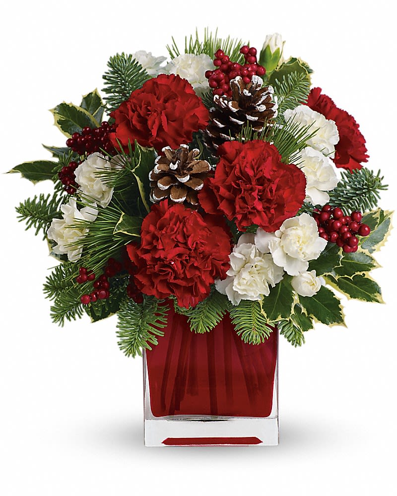 Red and white carnation arrangement with evergreens and pine cones in a red glass cube vase