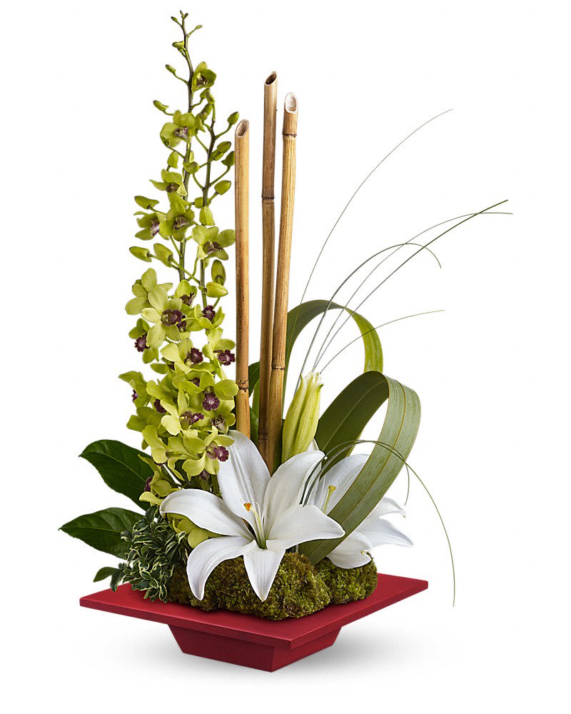 Modern arrangement with white lilies, green orchids, and bamboo in a low red dish