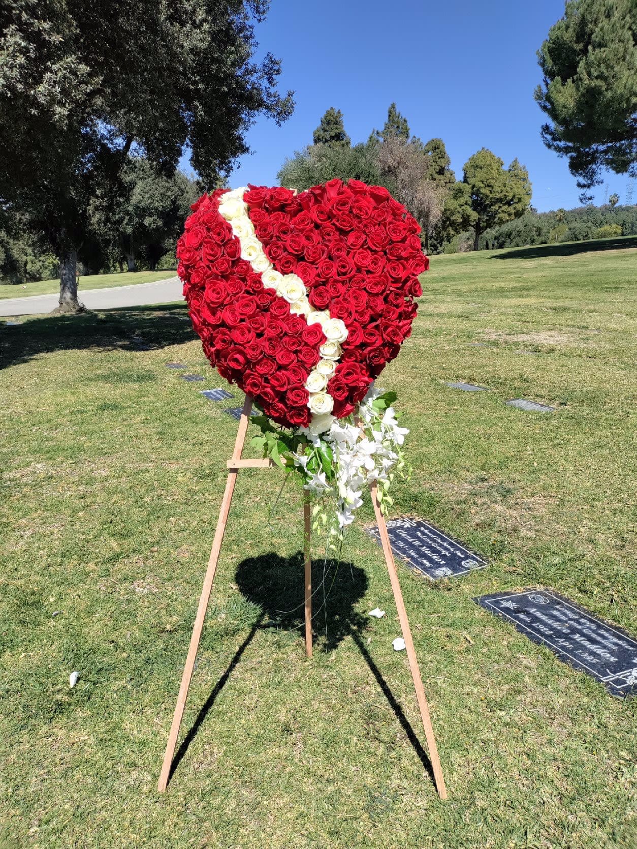 Heart-shaped rose standing spray with a white diagonal stripe
