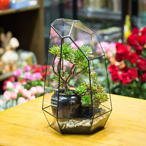 Plant Prism - Succulents have come out of the sand boxes and terrariums and jumped right into the midst of elegant flower arrangements. Florists have not been slow to recognize that these sometimes strange-looking and versatile plants ca make quite a statement in a floral design. And not only in desert or Southwestern-style designs. These plants have enough variety to fit in anywhere.