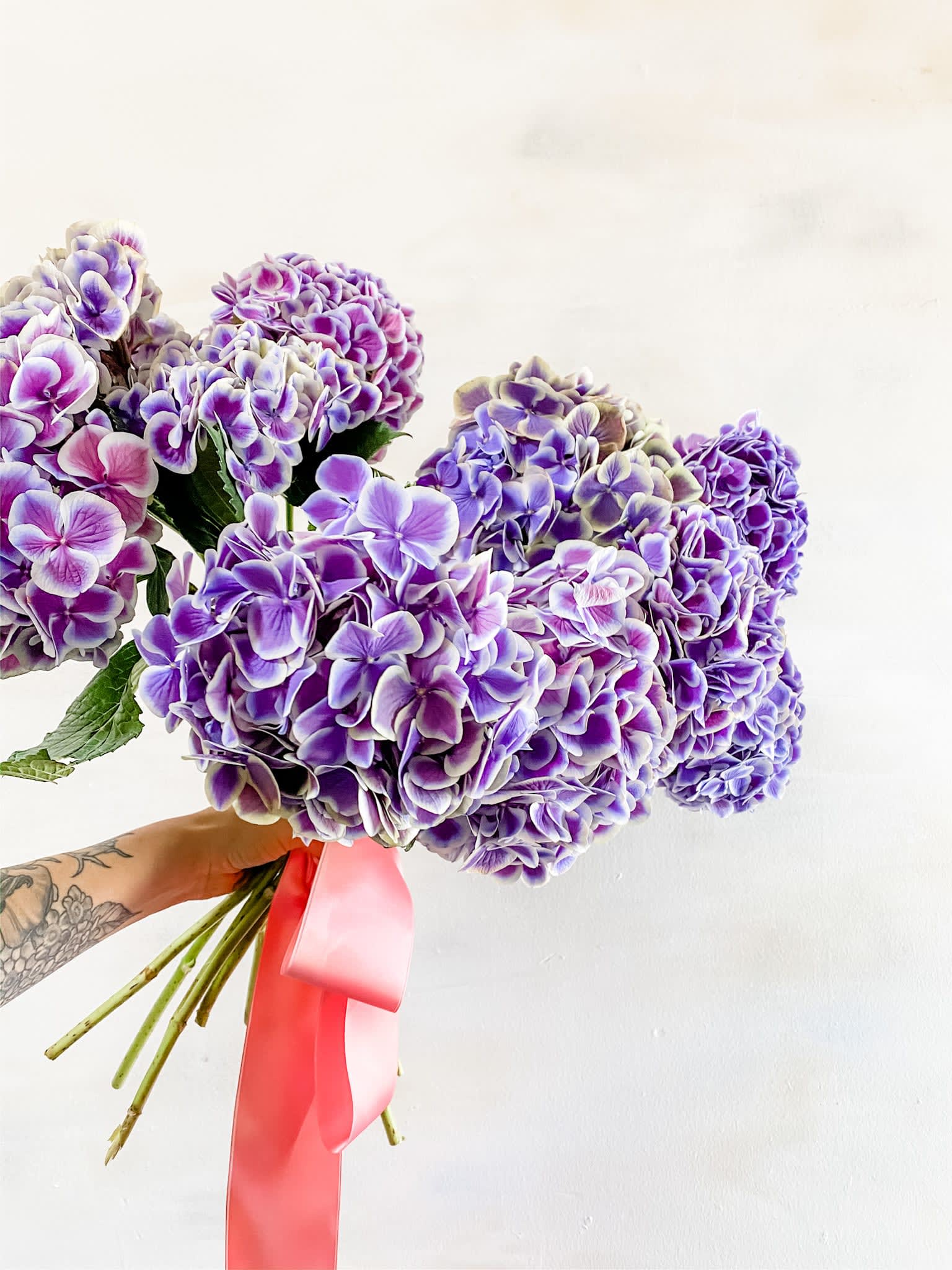 Bouquet of purple hydrangeas tied with a pink ribbon
