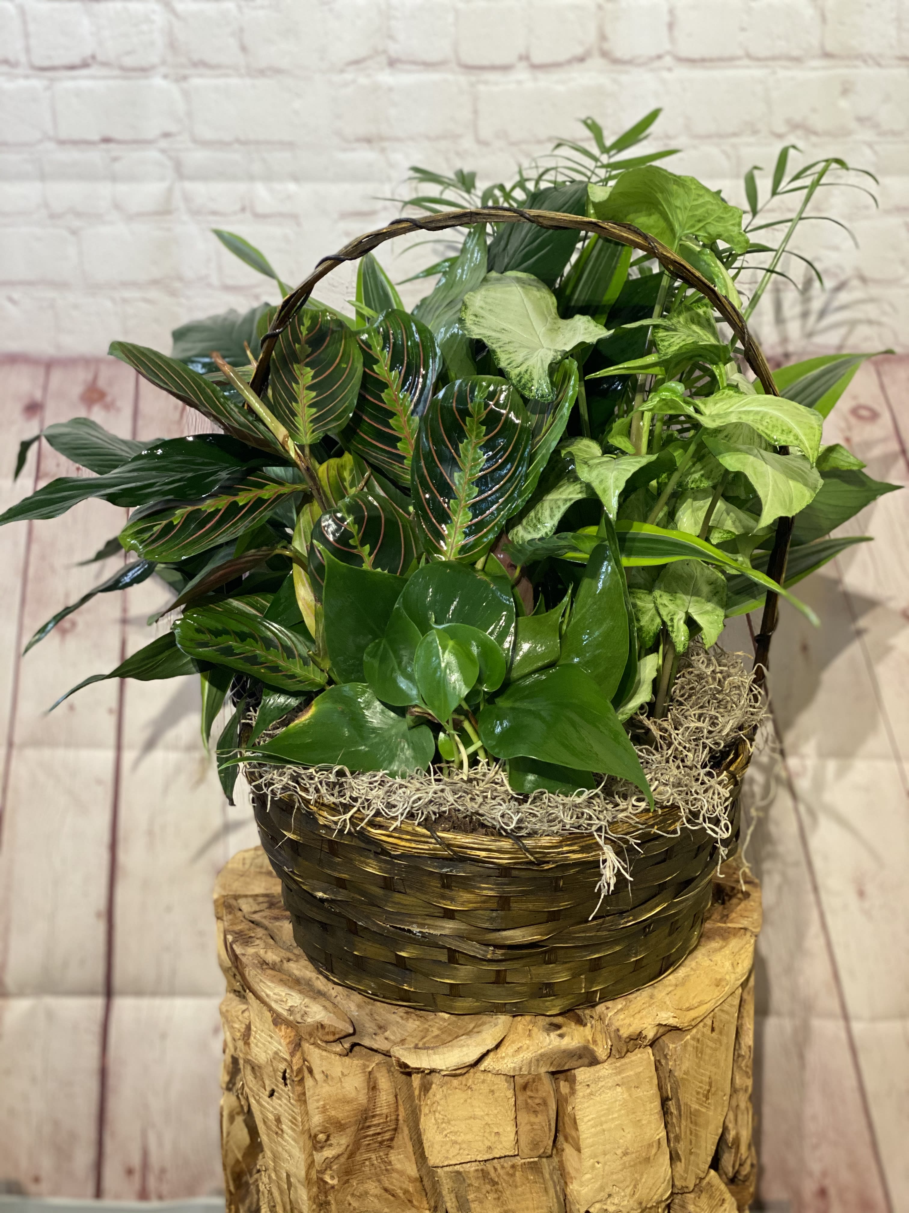 Basket of assorted green houseplants in a woven container
