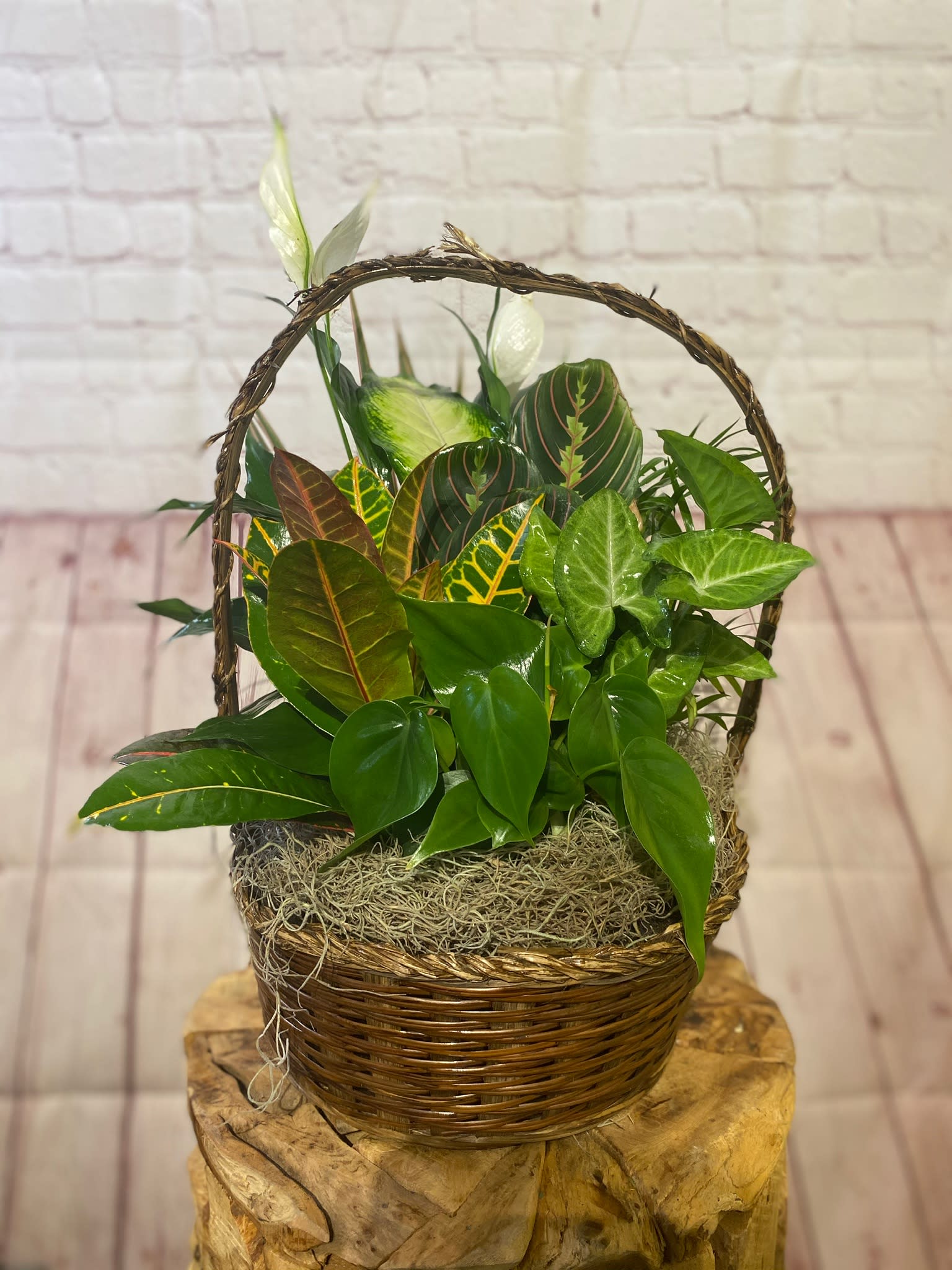 Basket of assorted potted houseplants with a woven handle